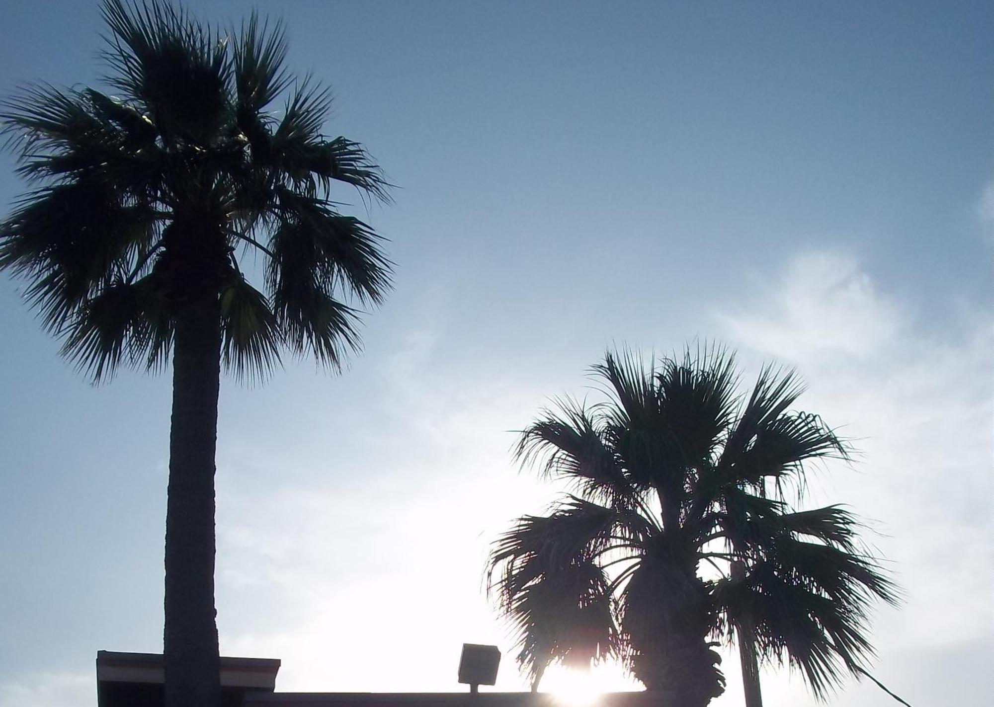 Whispering Palms Inn Del Rio Exterior foto